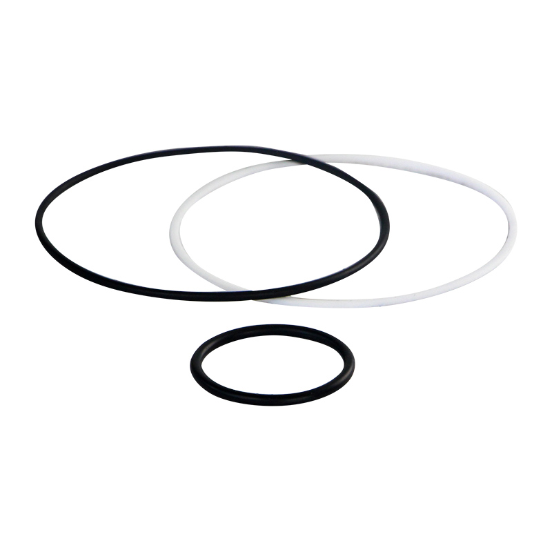 DICHTSATZ-E FLN..160 W 1.0