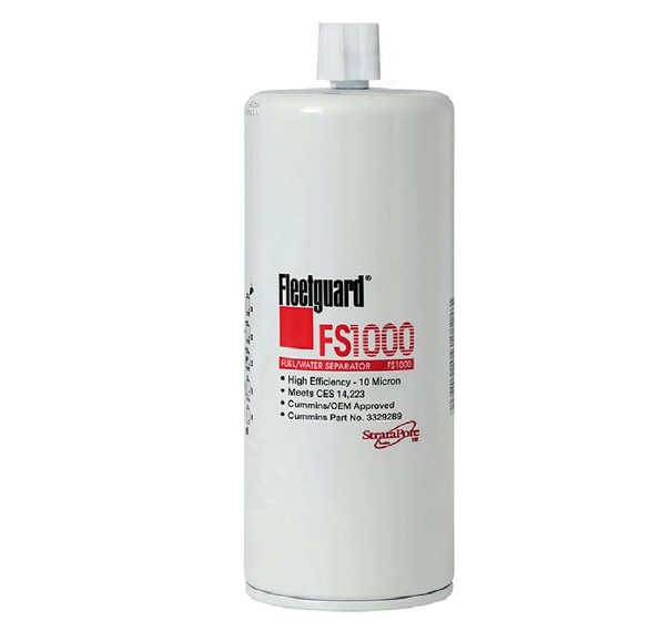 FS 1000